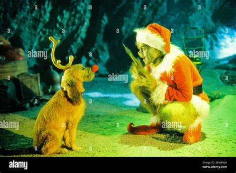 are the dog ears fake on the grinch